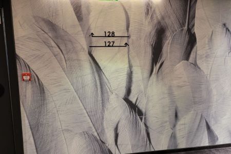 Profesionální tapetování Brno levně