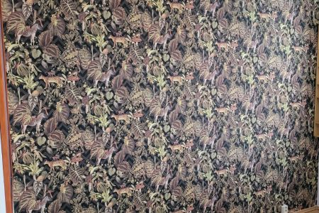 Profesionální tapetování Brno levně