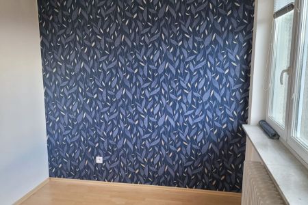 Profesionální tapetování Brno levně